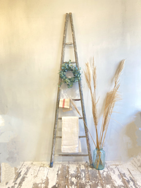 Antique French fruit pickers ladder B
