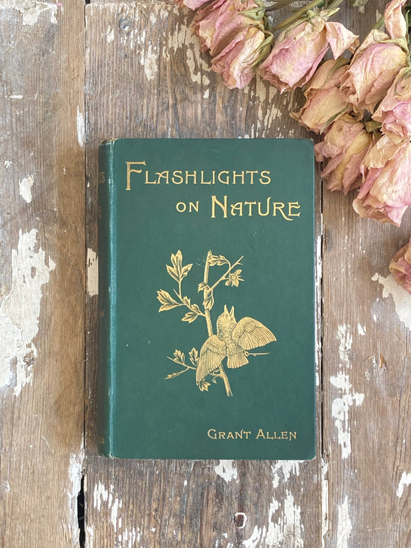 Flashlights on Nature 1899