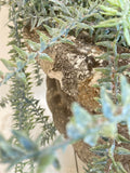 Garden urn