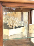 Victorian mirror-backed display cabinet