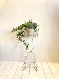 Victorian wire plant stand