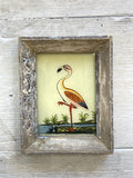 Indian painting - Flamingo