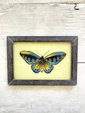 Indian painting - Butterfly