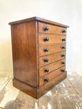 Victorian specimen or collectors chest A