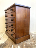 Victorian specimen or collectors chest A