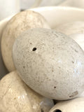 Vintage broody eggs