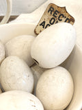 Vintage broody eggs
