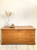 Victorian pine trunk