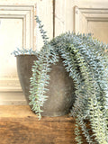 Verdigris planter or champagne bucket