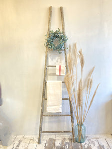 Antique French fruit pickers ladder A
