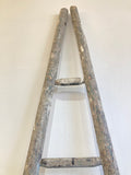 Antique French fruit pickers ladder B