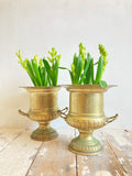 Pair of vintage champagne buckets