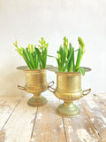 Pair of vintage champagne buckets