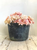 Antique copper