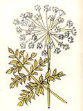 Indian glass painting