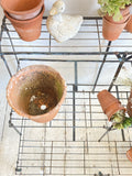 French 3 tier plant stand