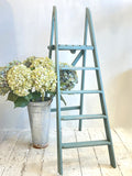 Painted step ladder