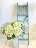 Painted step ladder