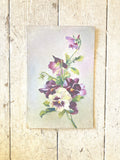 Vintage oil on board - Pansies