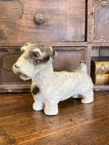 Early 1900's ceramic Sealeyham Terrier