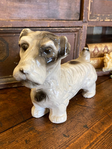 Early 1900's ceramic Sealeyham Terrier
