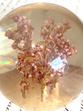 Botantical paperweight - pink heather