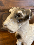 Early 1900's ceramic Sealeyham Terrier