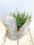 Vintage swan planter