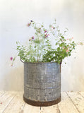 Tall galvanised tub planter