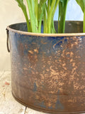 Galvanised tub planter