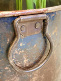 Galvanised tub planter