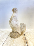 Stone dove