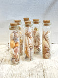 Teeny tiny bottles of shells