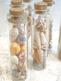 Teeny tiny bottles of shells