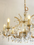 8 arm Marie Therese chandelier