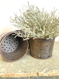 Vintage French cheese moulds - wide