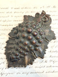 Victorian J&E Ratcliffe grape letter clip