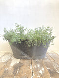 Galvanised tub