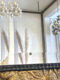 Antique French embossed brass & ebonised mirror