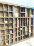 Antique printers tray