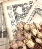 C19th French folio of architectural studies