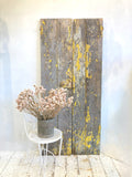 Pair of rustic old doors