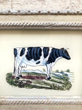 Indian glass painting of a cow