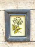 Indian glass painting of an allium