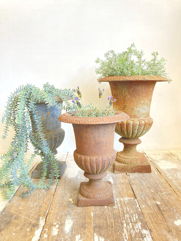 Vintage cast iron urns