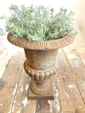 Vintage cast iron urns