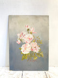 Floral oil on board 1906
