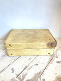 Vintage vellum suitcase