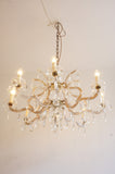8 arm Marie Therese chandelier