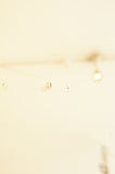 Antique French long mirror
